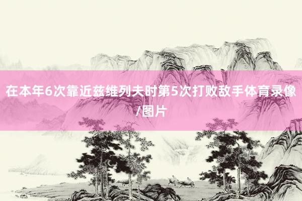 在本年6次靠近兹维列夫时第5次打败敌手体育录像/图片