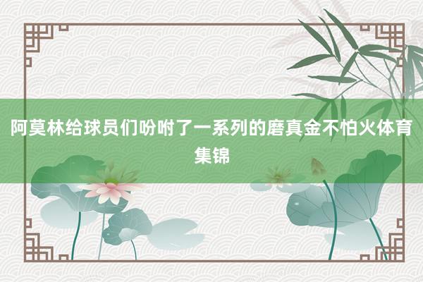 阿莫林给球员们吩咐了一系列的磨真金不怕火体育集锦