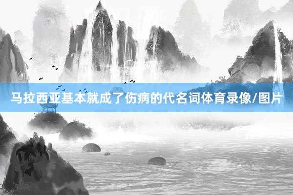 马拉西亚基本就成了伤病的代名词体育录像/图片