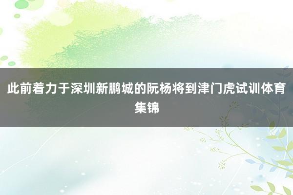 此前着力于深圳新鹏城的阮杨将到津门虎试训体育集锦