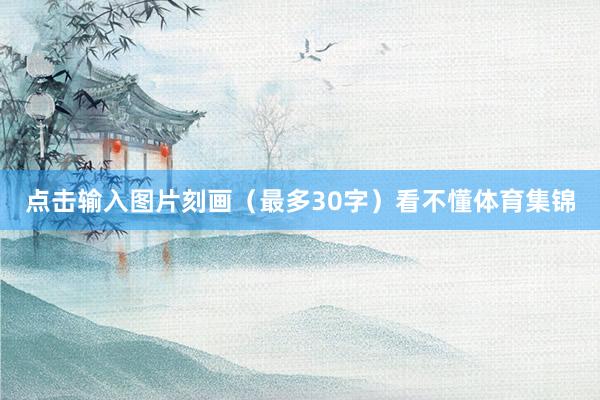 点击输入图片刻画（最多30字）看不懂体育集锦