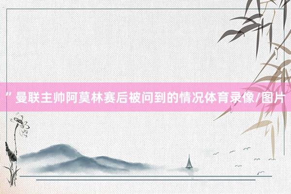 ”曼联主帅阿莫林赛后被问到的情况体育录像/图片