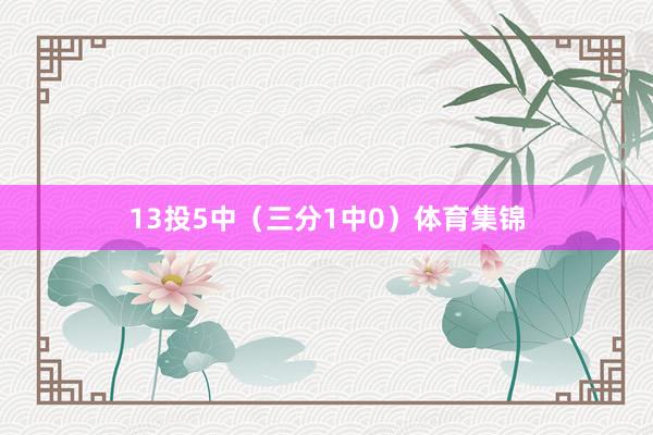 13投5中（三分1中0）体育集锦