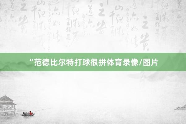 “范德比尔特打球很拼体育录像/图片