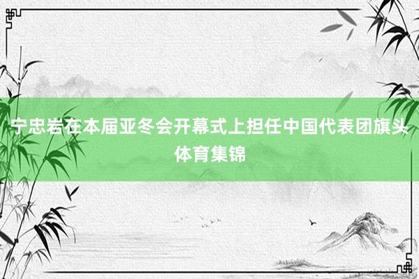 宁忠岩在本届亚冬会开幕式上担任中国代表团旗头体育集锦