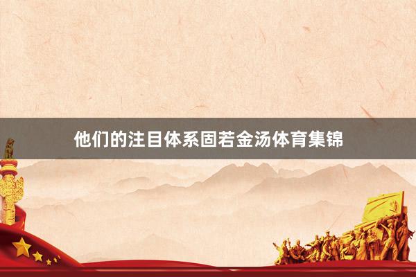 他们的注目体系固若金汤体育集锦