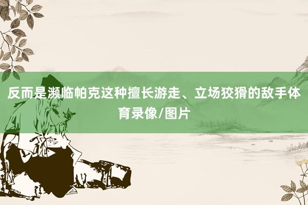 反而是濒临帕克这种擅长游走、立场狡猾的敌手体育录像/图片