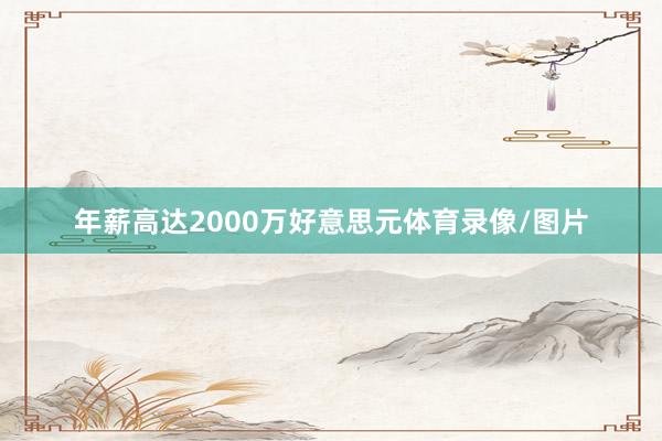 年薪高达2000万好意思元体育录像/图片