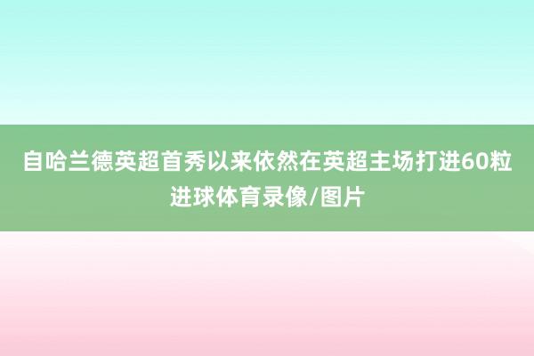 自哈兰德英超首秀以来依然在英超主场打进60粒进球体育录像/图片