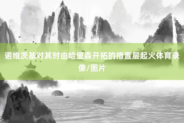 诺维茨基对其时由哈里森开拓的措置层起火体育录像/图片