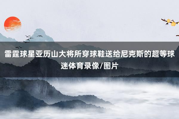 雷霆球星亚历山大将所穿球鞋送给尼克斯的超等球迷体育录像/图片