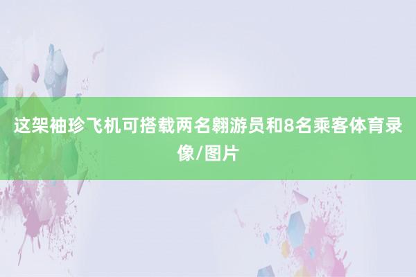 这架袖珍飞机可搭载两名翱游员和8名乘客体育录像/图片