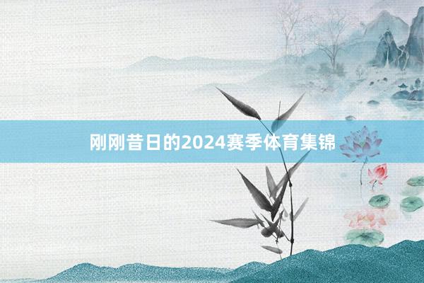 刚刚昔日的2024赛季体育集锦