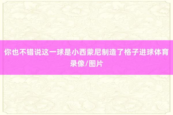 你也不错说这一球是小西蒙尼制造了格子进球体育录像/图片