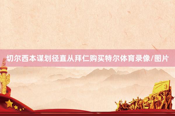 切尔西本谋划径直从拜仁购买特尔体育录像/图片