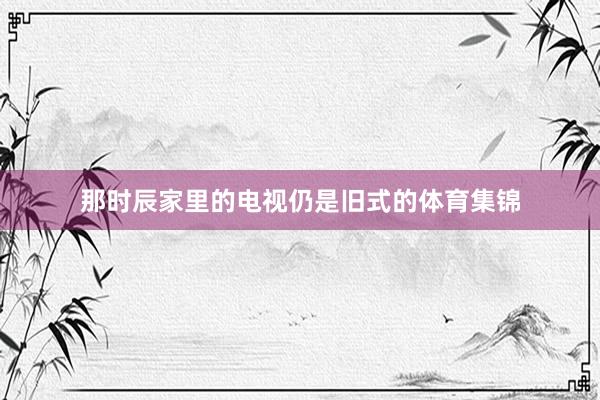 那时辰家里的电视仍是旧式的体育集锦