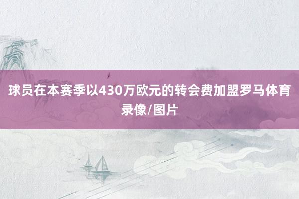 球员在本赛季以430万欧元的转会费加盟罗马体育录像/图片