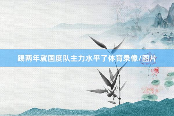 踢两年就国度队主力水平了体育录像/图片