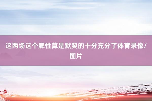这两场这个脾性算是默契的十分充分了体育录像/图片