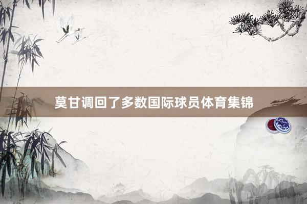 莫甘调回了多数国际球员体育集锦