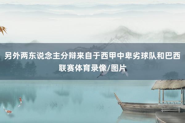 另外两东说念主分辩来自于西甲中卑劣球队和巴西联赛体育录像/图片