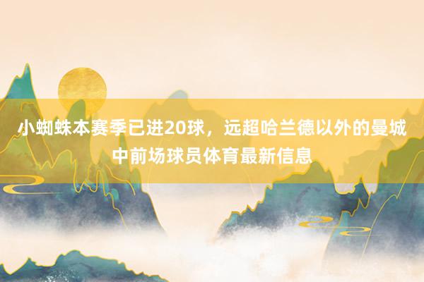 小蜘蛛本赛季已进20球，远超哈兰德以外的曼城中前场球员体育最新信息