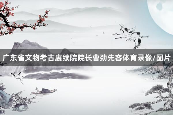 广东省文物考古赓续院院长曹劲先容体育录像/图片