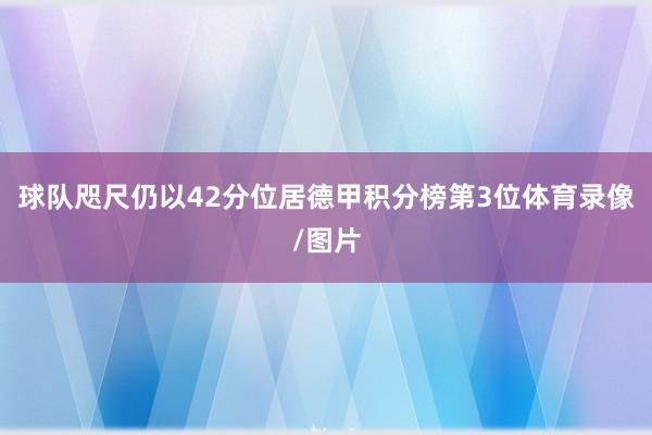 球队咫尺仍以42分位居德甲积分榜第3位体育录像/图片