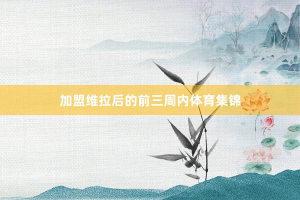 加盟维拉后的前三周内体育集锦