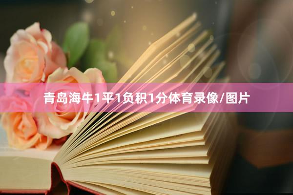 青岛海牛1平1负积1分体育录像/图片