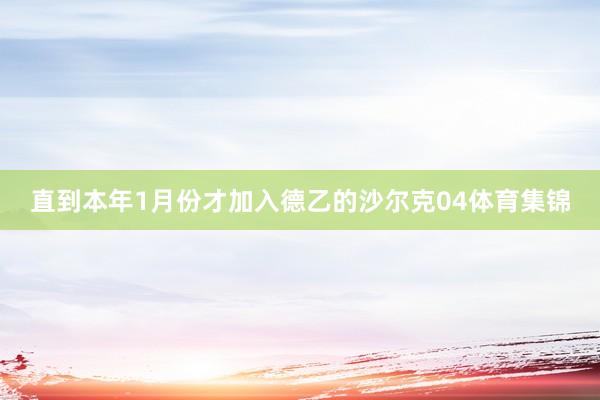 直到本年1月份才加入德乙的沙尔克04体育集锦