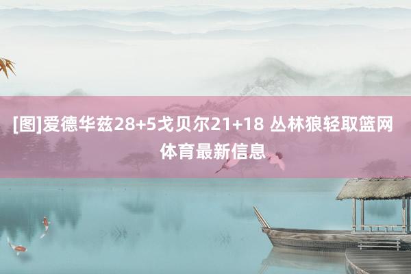 [图]爱德华兹28+5戈贝尔21+18 丛林狼轻取篮网    体育最新信息