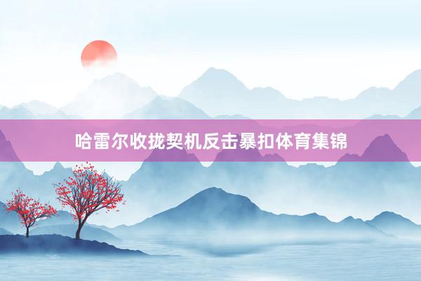 哈雷尔收拢契机反击暴扣体育集锦