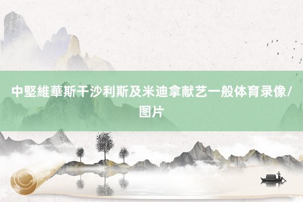 中堅維華斯干沙利斯及米迪拿献艺一般体育录像/图片
