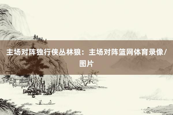 主场对阵独行侠丛林狼：主场对阵篮网体育录像/图片
