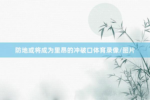 防地或将成为里昂的冲破口体育录像/图片