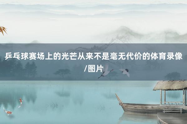 乒乓球赛场上的光芒从来不是毫无代价的体育录像/图片