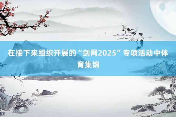 在接下来组织开展的“剑网2025”专项活动中体育集锦