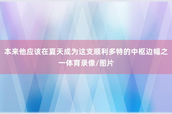 本来他应该在夏天成为这支顺利多特的中枢边幅之一体育录像/图片