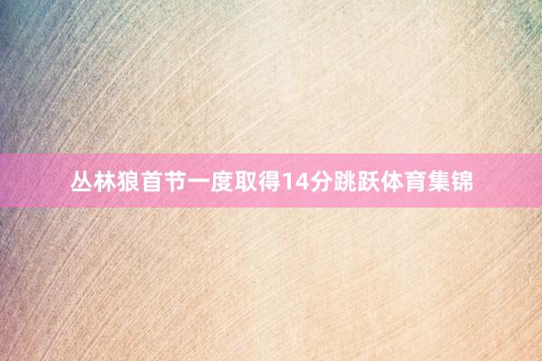 丛林狼首节一度取得14分跳跃体育集锦