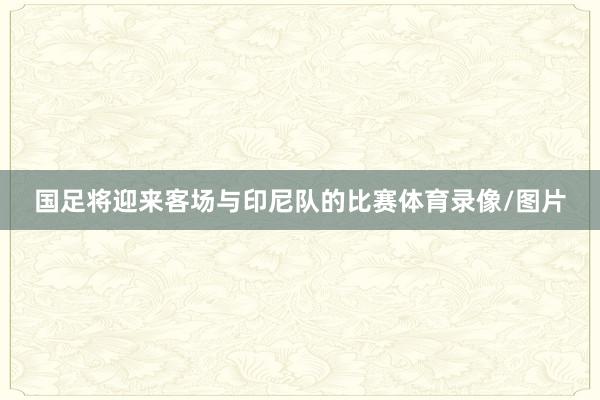 国足将迎来客场与印尼队的比赛体育录像/图片