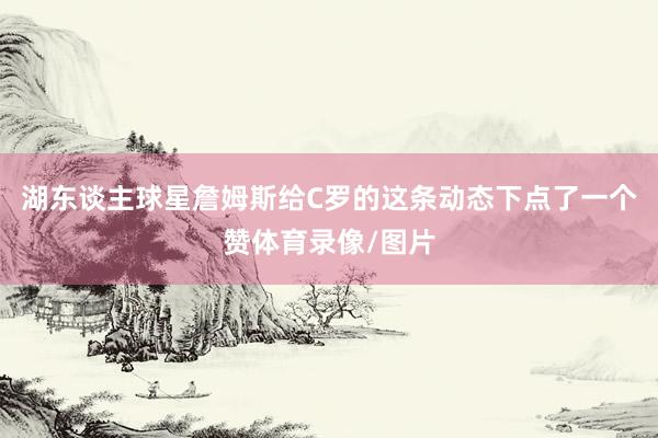 湖东谈主球星詹姆斯给C罗的这条动态下点了一个赞体育录像/图片