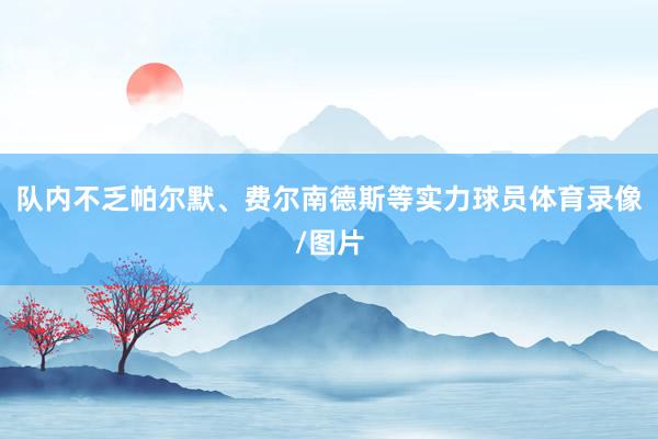 队内不乏帕尔默、费尔南德斯等实力球员体育录像/图片