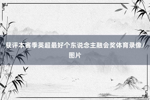 获评本赛季英超最好个东说念主融会奖体育录像/图片