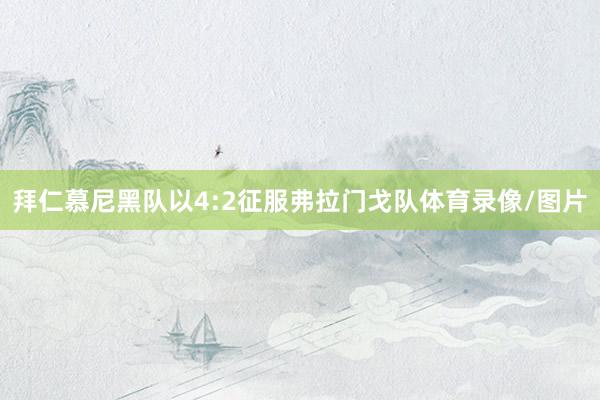 拜仁慕尼黑队以4:2征服弗拉门戈队体育录像/图片