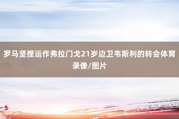罗马坚捏运作弗拉门戈21岁边卫韦斯利的转会体育录像/图片