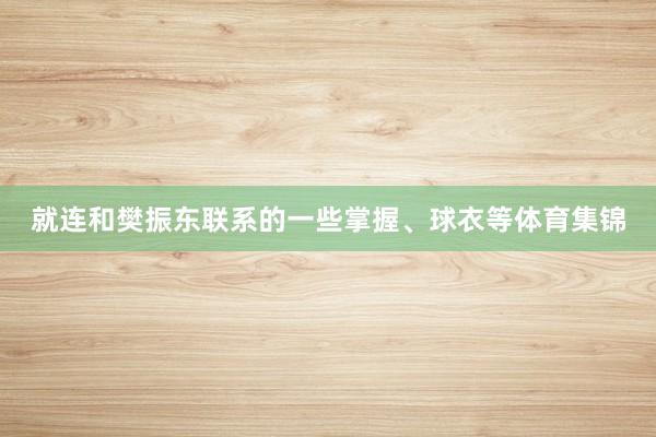 就连和樊振东联系的一些掌握、球衣等体育集锦