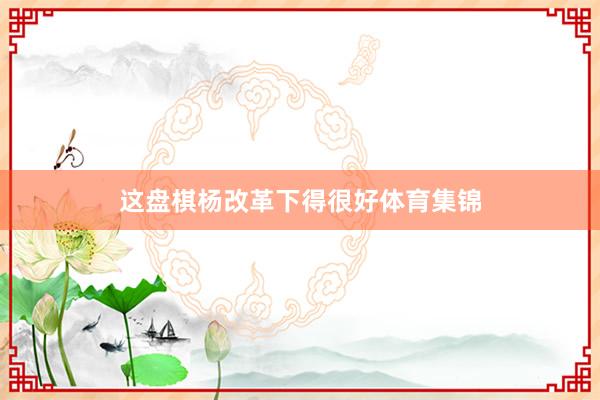 这盘棋杨改革下得很好体育集锦