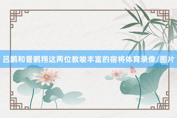 吕鹏和晋鹏翔这两位教唆丰富的宿将体育录像/图片