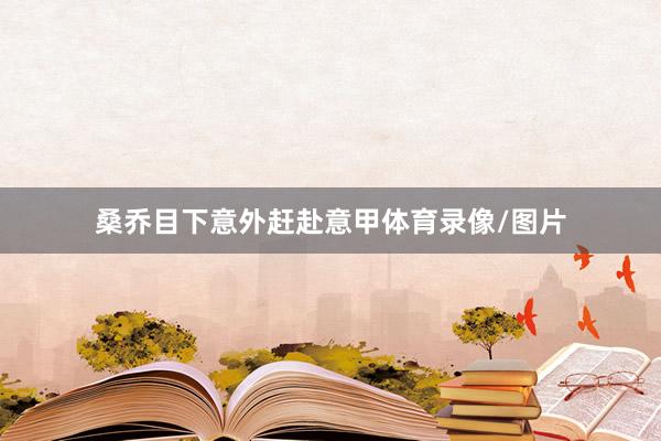 桑乔目下意外赶赴意甲体育录像/图片